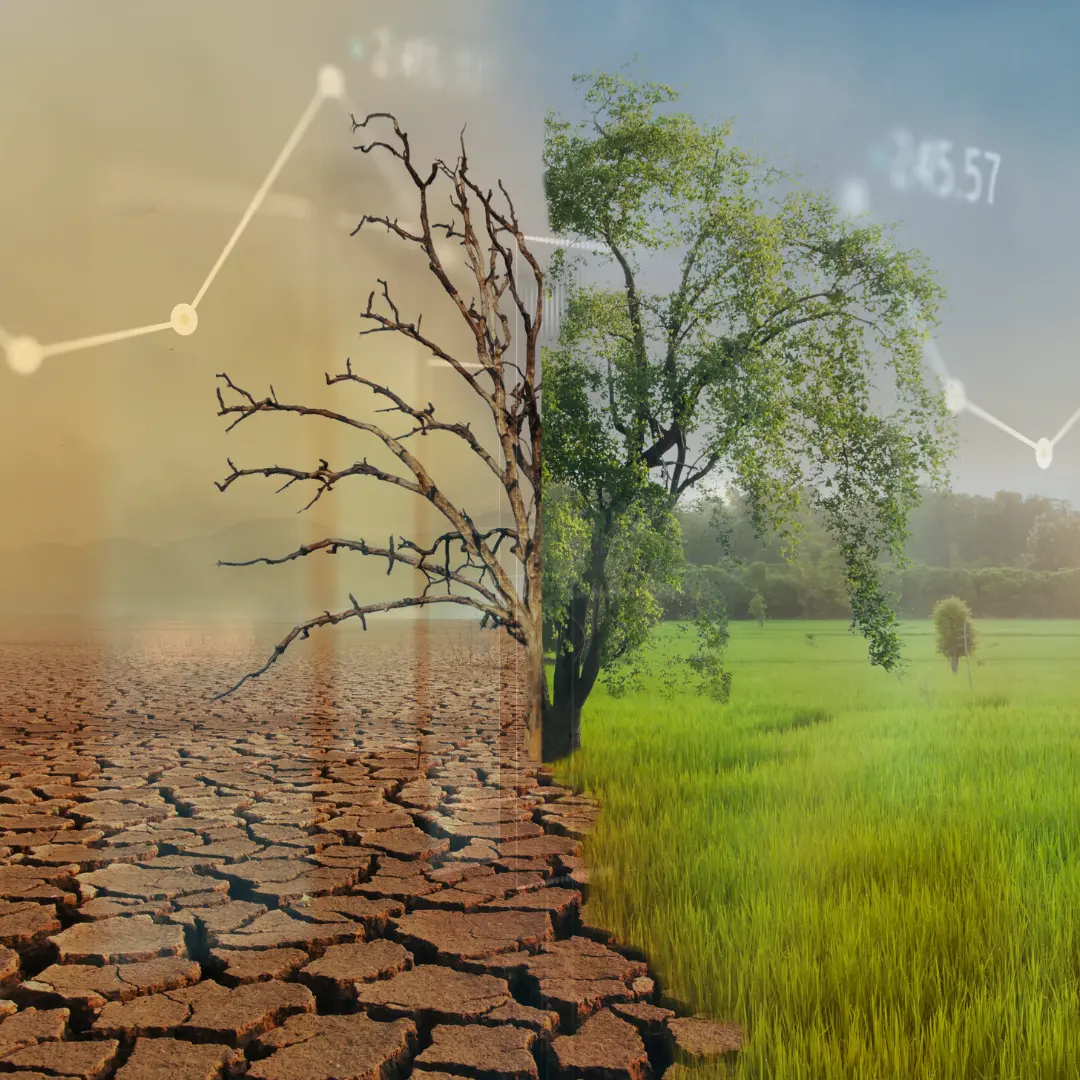 QGIS, bases de datos y análisis climático