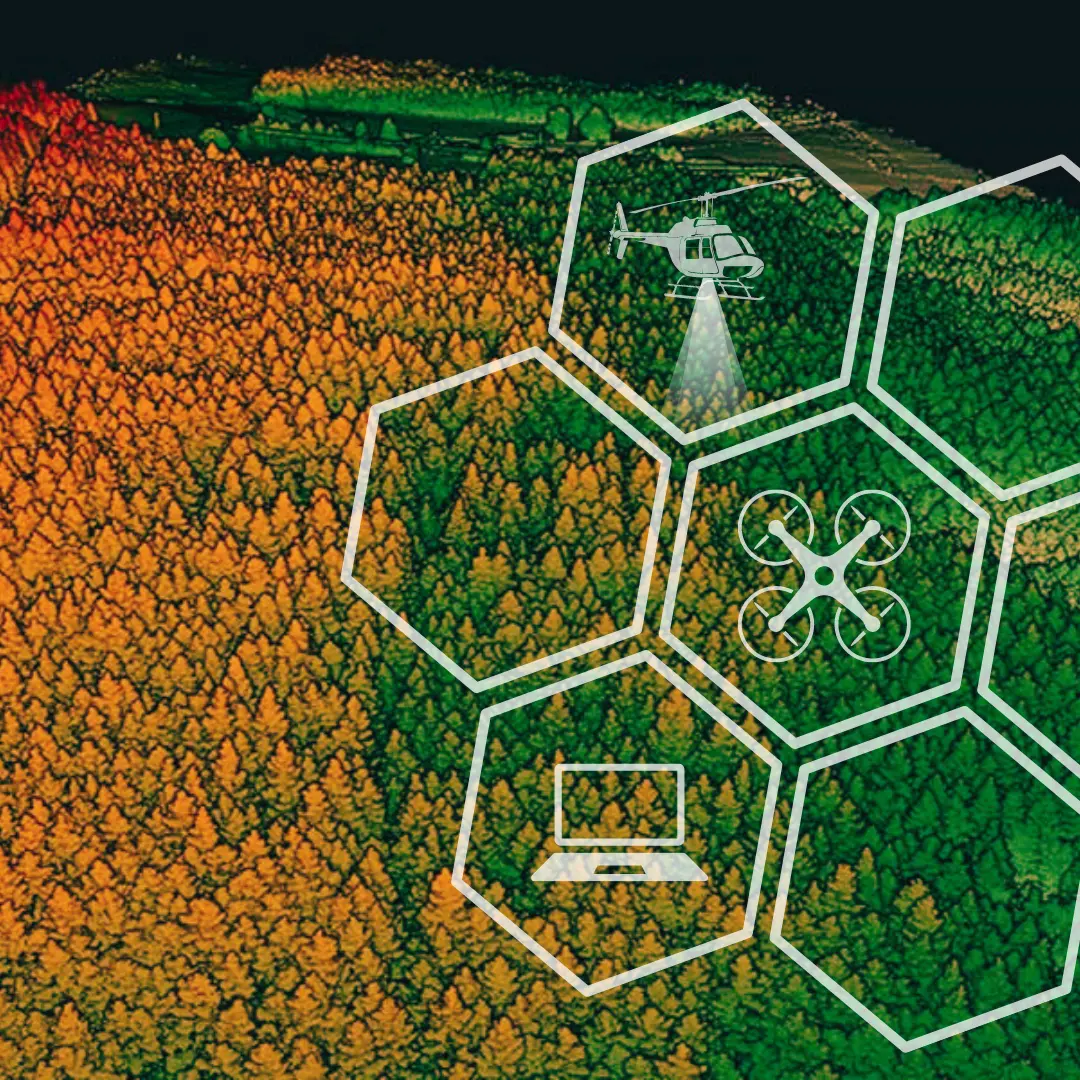 Lidar forestal masa e individual (2)